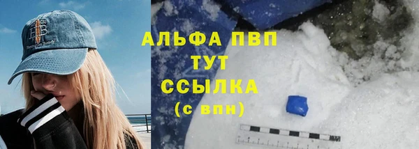 прущие крисы Надым