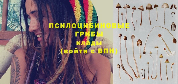 прущие крисы Надым