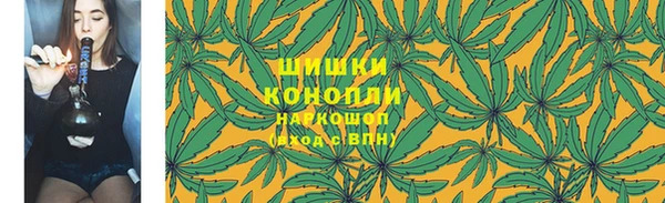 прущие крисы Надым