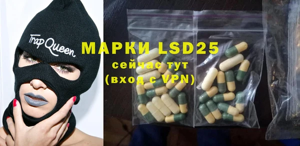 прущие крисы Надым